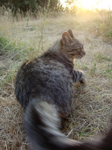 DSC00064.JPG