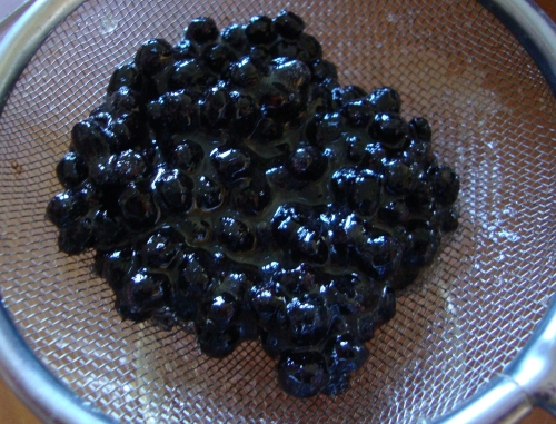 Cheong d'aronias 2026 03 23.JPG