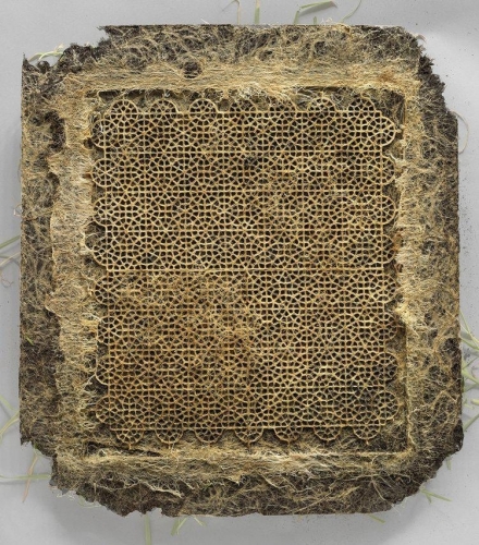 Diana Scherer 2129_n.jpg