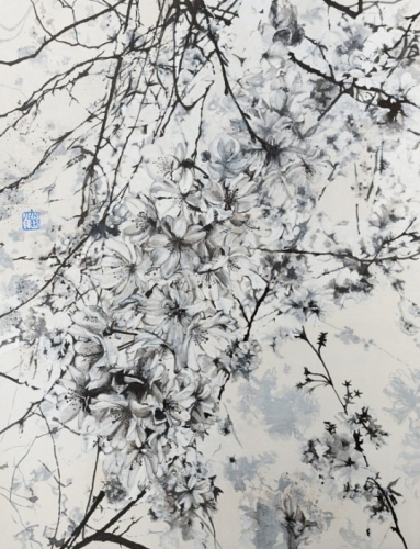 Lumi MIZUTANI540.jpg