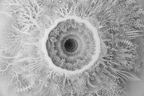 Rogan Brown, papier découpé.n83.jpg