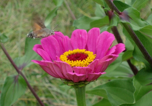DSC07334.JPG