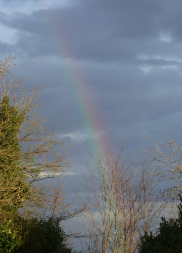 DSC05901.jpg