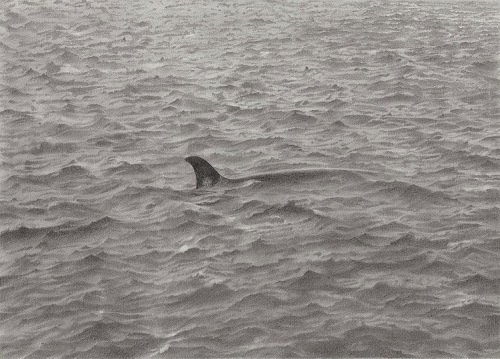 Vija Celmins, Sea Drawing with Whale, graphite on paper, ca. 1969.jpg