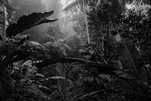 pierre de vallombreuse Le-peuple-de-la-Vallee-5.jpg