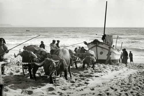 Sabine Weiss Portugal 1954 .jpg