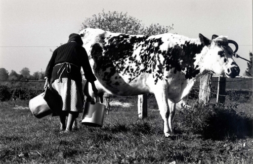 Christian Malon Normandie.jpg