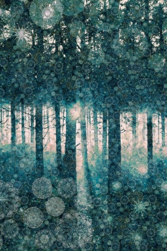 Andrew Bret Wallis Enchanted forest.jpg