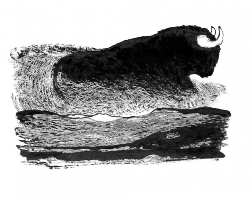 Baudoin pour ni chien ni loup.jpeg