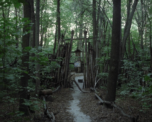 Danila Tkachenko_escape_8.jpg