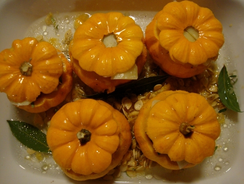 Little big jack châtaigne comté (3).JPG