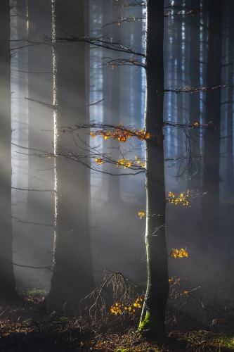 Lukas Gallo Photography_n.jpg