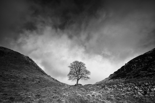 Graham Eaton Hadrians_Wall_9268_8_Mar_17_mono.jpg