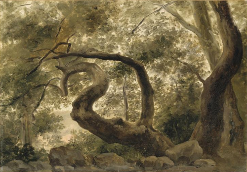 Pierre Henri De Valenciennes.png