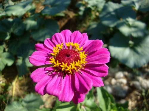 DSC07089.JPG