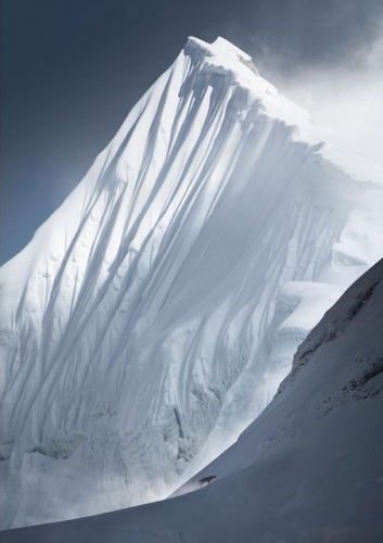 Kittiya Pawlowski panthère des neiges à 7000 m d'alt à 10km de l'éverest_n.jpg