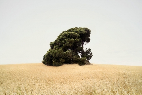 Petros Koublis_Photography0.jpg